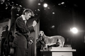 Steve Allen made Elvis sing "Hound Dog" to a basset hound on his show.