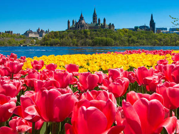 ottawa-spring