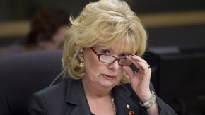 pamela wallin