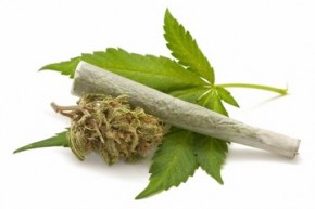 marijuana-leaf-joint-140423