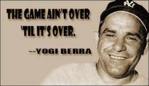 yogi