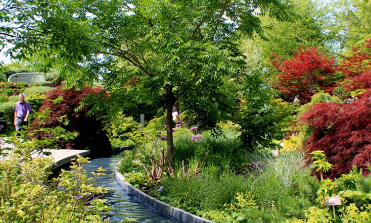 TBG Water Channel Garden 